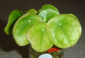 Bild 4.JPG
