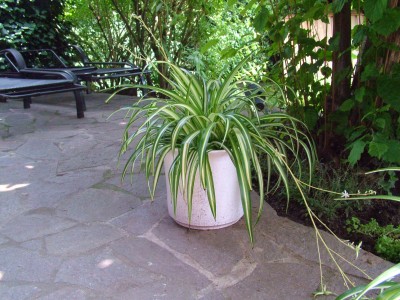 DSCF2179.JPG