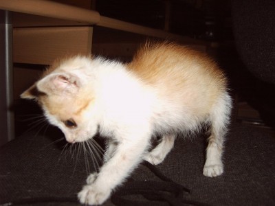 IMG00016.JPG