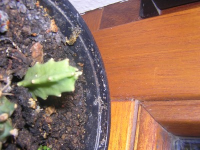 DSCN9475.JPG