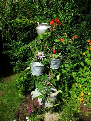 Größenänderung Wiederbelichtung von IMG_0990.JPG