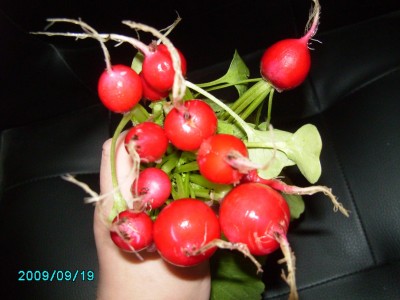 PICT0716.JPG