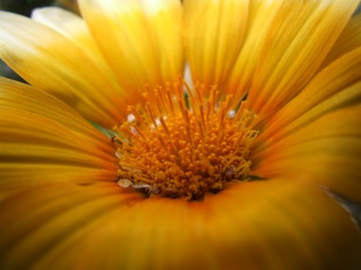 DSCF4372.JPG