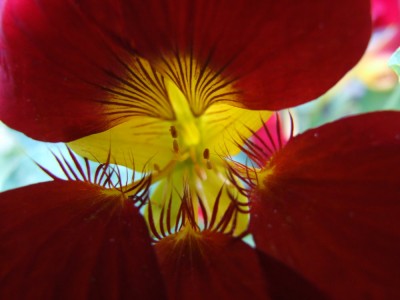DSCF4360.JPG