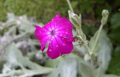 PIC_1381.JPG