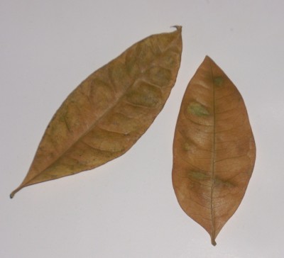 DSCI0028.jpg