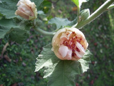 PIC18.JPG