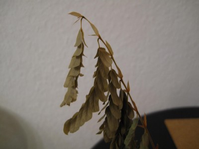 Bild 002.jpg