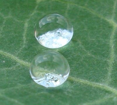 Wassertropfen2.jpg