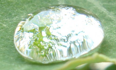 Wassertropfen3.jpg
