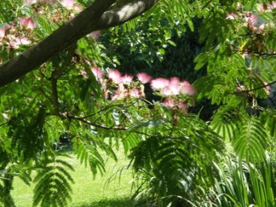 087www.jpg