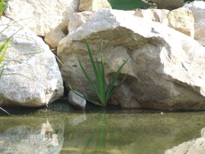 DSCF8354.JPG