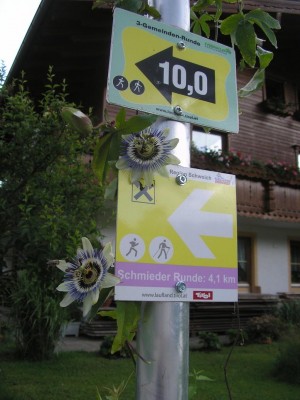 P1011437.JPG