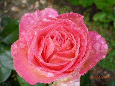 DSCN57490001.JPG