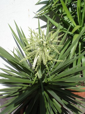 Bild 035.jpg