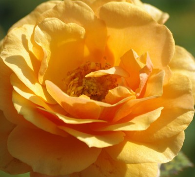 IMGP2894.JPG