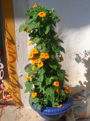 DSCN1138.JPG