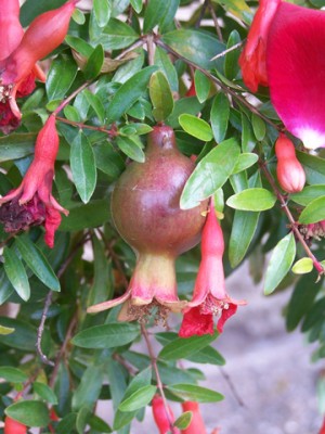 100_9435.jpg