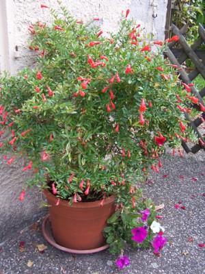 100_9434.jpg