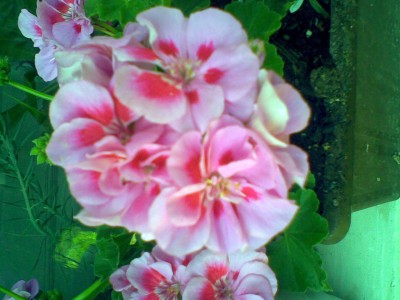 Bild002.jpg