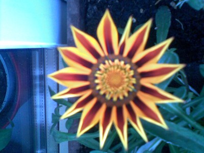 Bild001.jpg