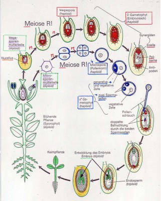 Image1.jpg