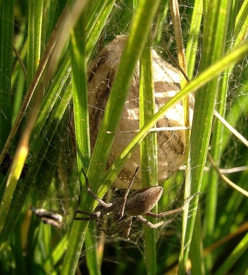 26.09.2009 wo ist die wächterin.jpg