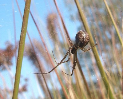 26.09.2009 warten.jpg