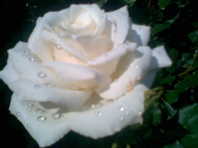 Bild005.jpg