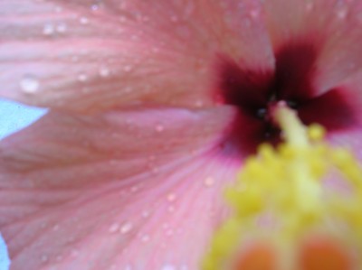 DSCN1120.JPG