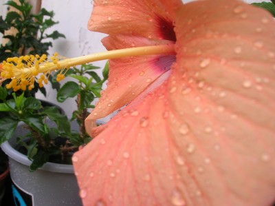 DSCN1119.JPG