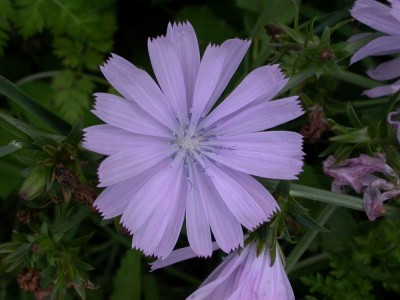 rätsel 090928 komplett.jpg