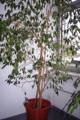 100_0400a.jpg