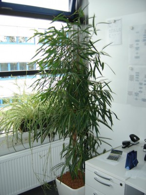 DSC01619_Bildgröße ändern.jpg