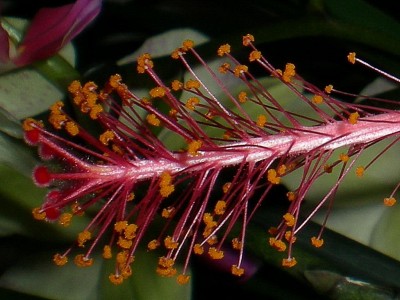 RSCN57970001.JPG