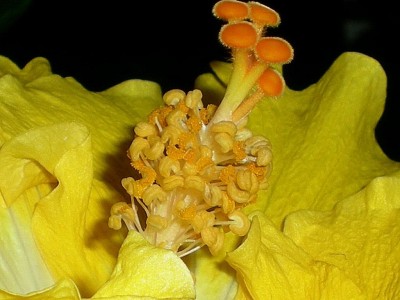 RSCN57950001.JPG