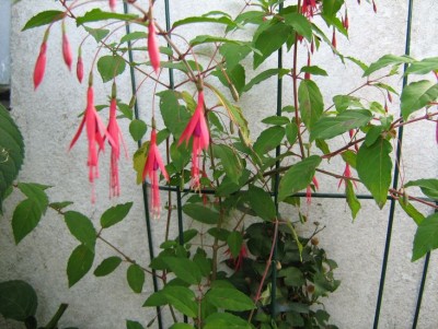 _noch eins lösung2.jpg