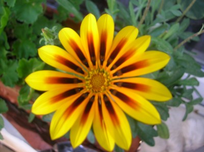 DSCN1182.JPG