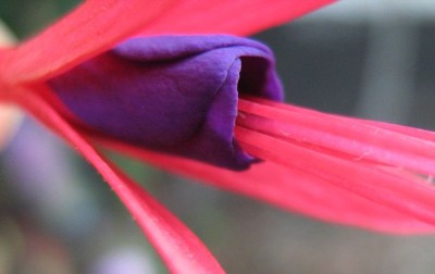 _noch eins lösung1.jpg