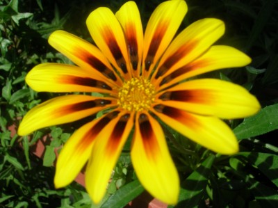 DSCN1181.JPG