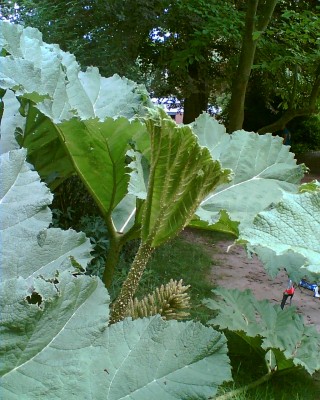 Bild007.jpg