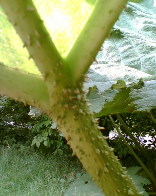 Bild004.jpg