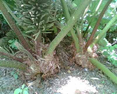Bild003.jpg