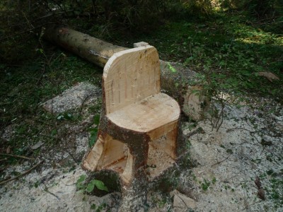 Entdeckung im Wald2.JPG