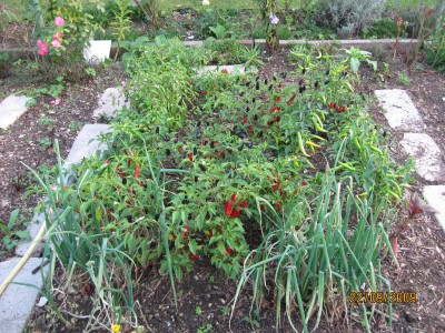 Green2009_2868.jpg