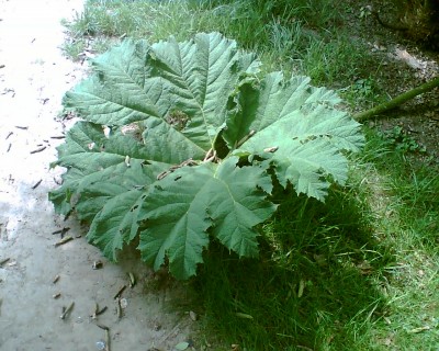Bild000.jpg