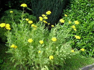 div.Bilder2009 165_Bildgröße ändern.JPG