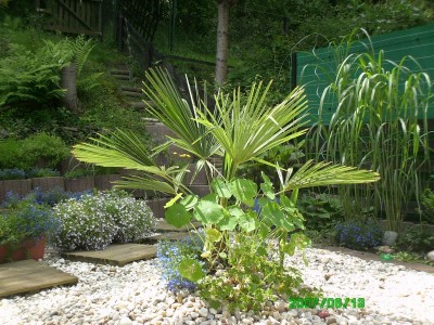 13.06.2007 007.jpg