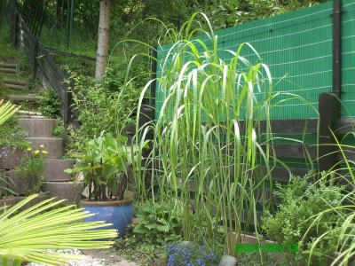 13.06.2007 008.jpg