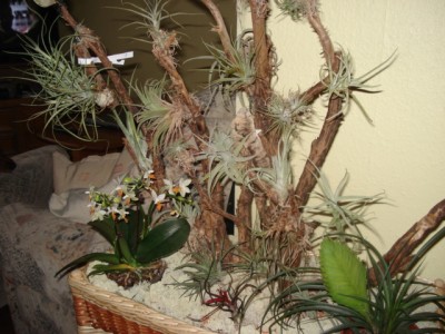 DSC04767.JPG